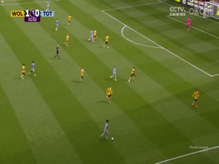 英超联赛 狼队VS托特纳姆热刺 20250413