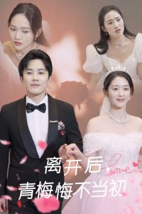 离开后青梅悔不当初