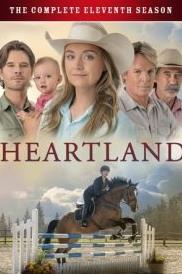 心灵之地第十一季