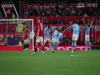 英超联赛 莱斯特城VS纽卡斯尔联 20250408