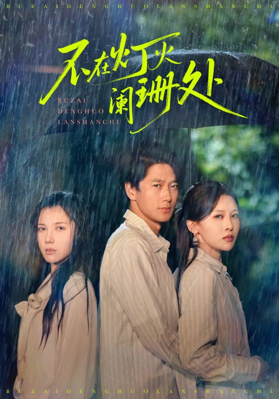 不在灯火阑珊处2025