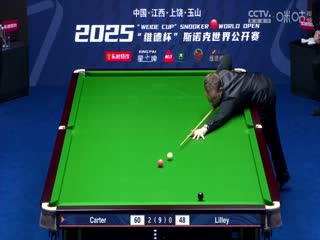 斯诺克玉山世界公开赛16进8 大卫·利利1-5阿里·卡特  20250226