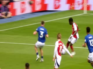 英超联赛 布莱顿VS西汉姆联 20250426