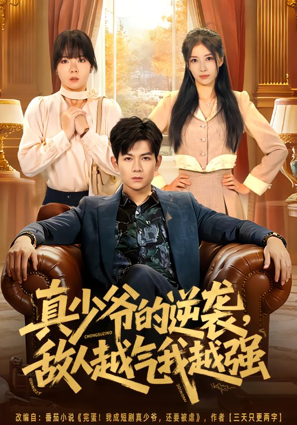 真少爷的逆袭，敌人越气我越强