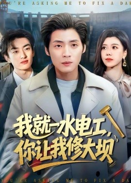 我就一水电工，你让我修大坝