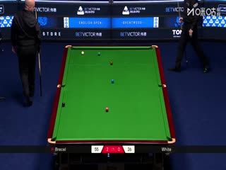 2025斯诺克英格兰公开赛 卢卡·布雷切尔4-1吉米·怀特 20250913